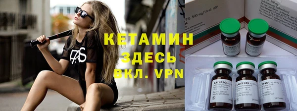 прущие крисы Вяземский