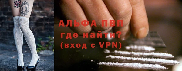 прущие крисы Вяземский