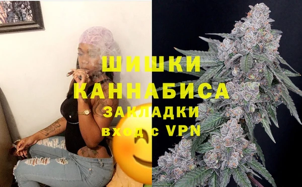 прущие крисы Вяземский