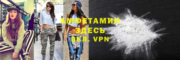 прущие крисы Вяземский