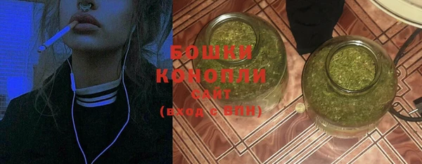 прущие крисы Вяземский