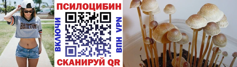 Псилоцибиновые грибы Magic Shrooms  Петров Вал 